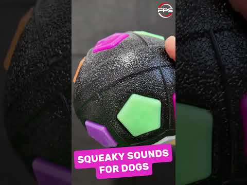 Does YOUR Dog Love These Squeaky Sounds? #shorts