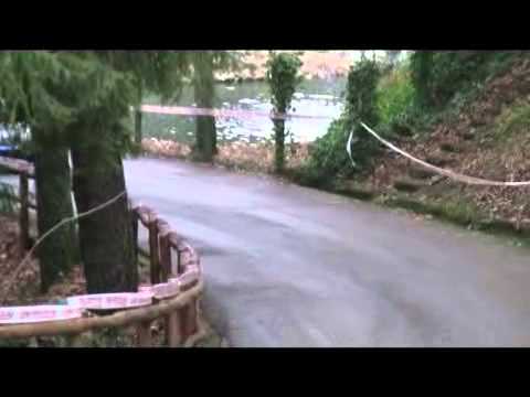 The Best Of Bertolozzi-Ragghianti