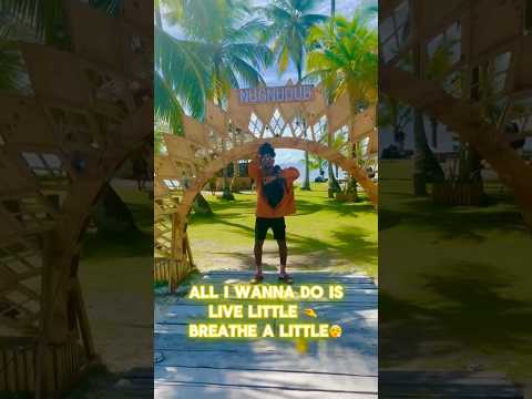 Just Live A Little, breathe a little and gwan enjoy life !!! @TrulyDyani  with the realest lyrics