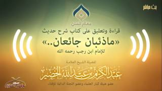 التعليق على شرح حديث (ما ذئبان جائعان) (نسخة البث) image