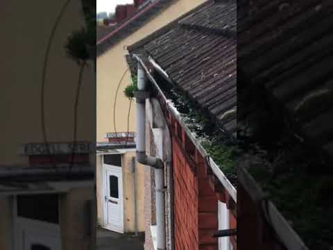 Steve's Gutters & Sons video.