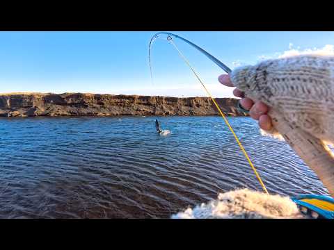 Master the Streamer - Become an Expert at Streamer Fishing (PB Trout)