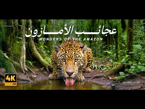أسرار وعجائب الأمازون ! أخطر وأجمل مكان في العالم ! القصّة كاملة  |  وثائقي