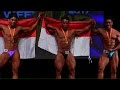 NABBAWFFsg Muscle War 2017 - Men's Bodybuilding