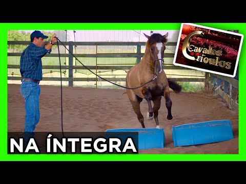 PROGRAMA CAVALOS CRIOULOS/ 01/08/2021