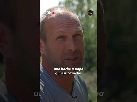Chenilles processionnaires, la grande invasion