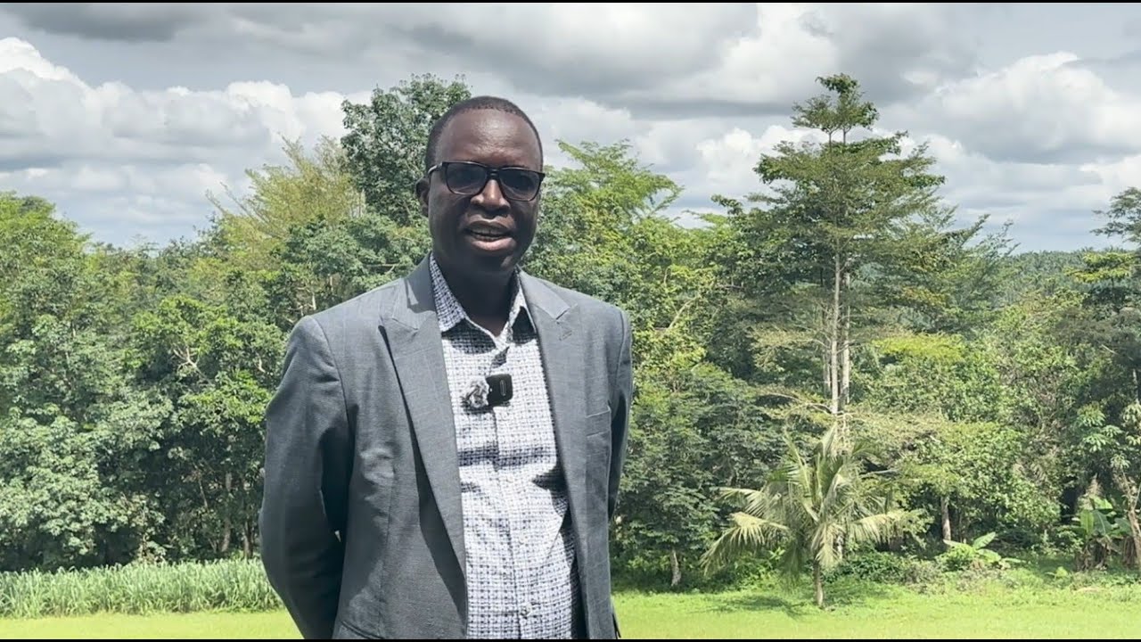 Impact Stories: Benso Oil Palm Plantation