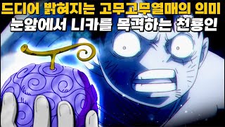 드디어 공개되는 고무고무 열매의 진정한 의미