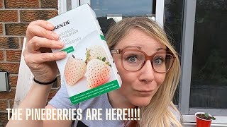 WEEK 18 2021 GARDEN TOUR | Growing food in small spaces
