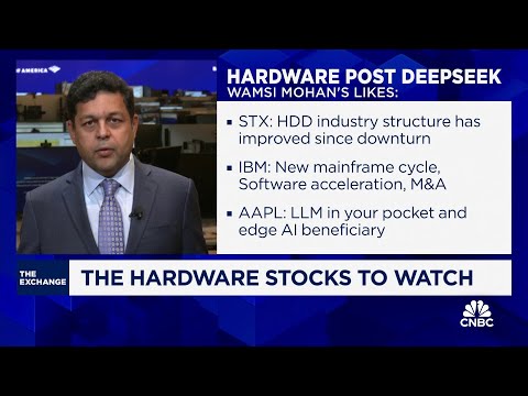 Apple is 'built for earnings resiliency,' says BofA Securities' Wamsi Mohan