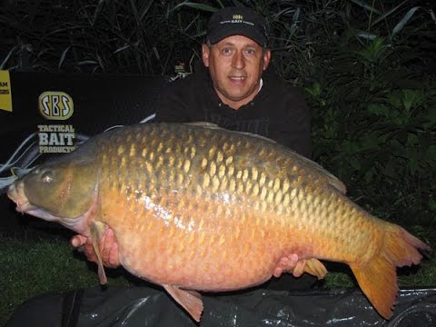 SBS Carp Fishing - Record Carp