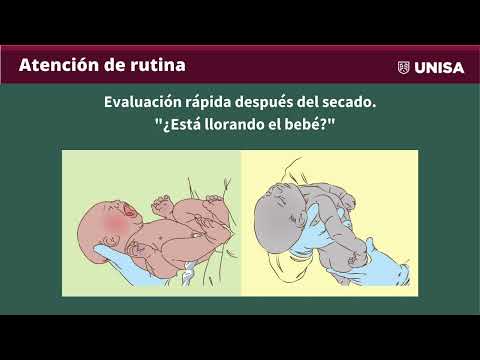 Obstetrics video 4