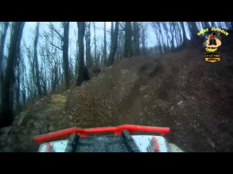 308.DEČKI ŽUTNICE - Kod Gecia IIdio.