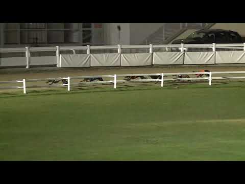 2020.08.14. 04. futam - Kincsem Park Magyar Derby III. elődöntő