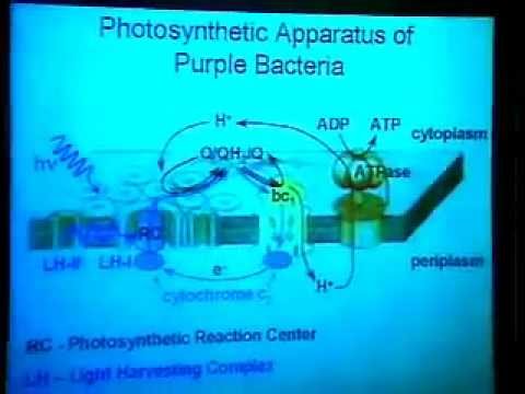 TCBG Summer School 2003: Modeling Large Systems - Molecular Machines of the Living Cell