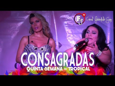 CONSAGRADAS - SEMANA 05 /  TROPICAL - CANAL FARANDULA GAY