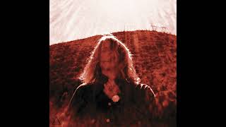 Ty Segall "The Singer"