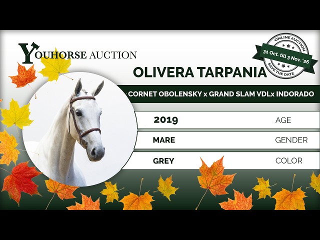 Olivera Tarpania showvideo indoor