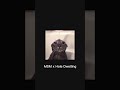 MSM x Hole-Dwelling