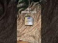 Relax You Wore Durex Invisible