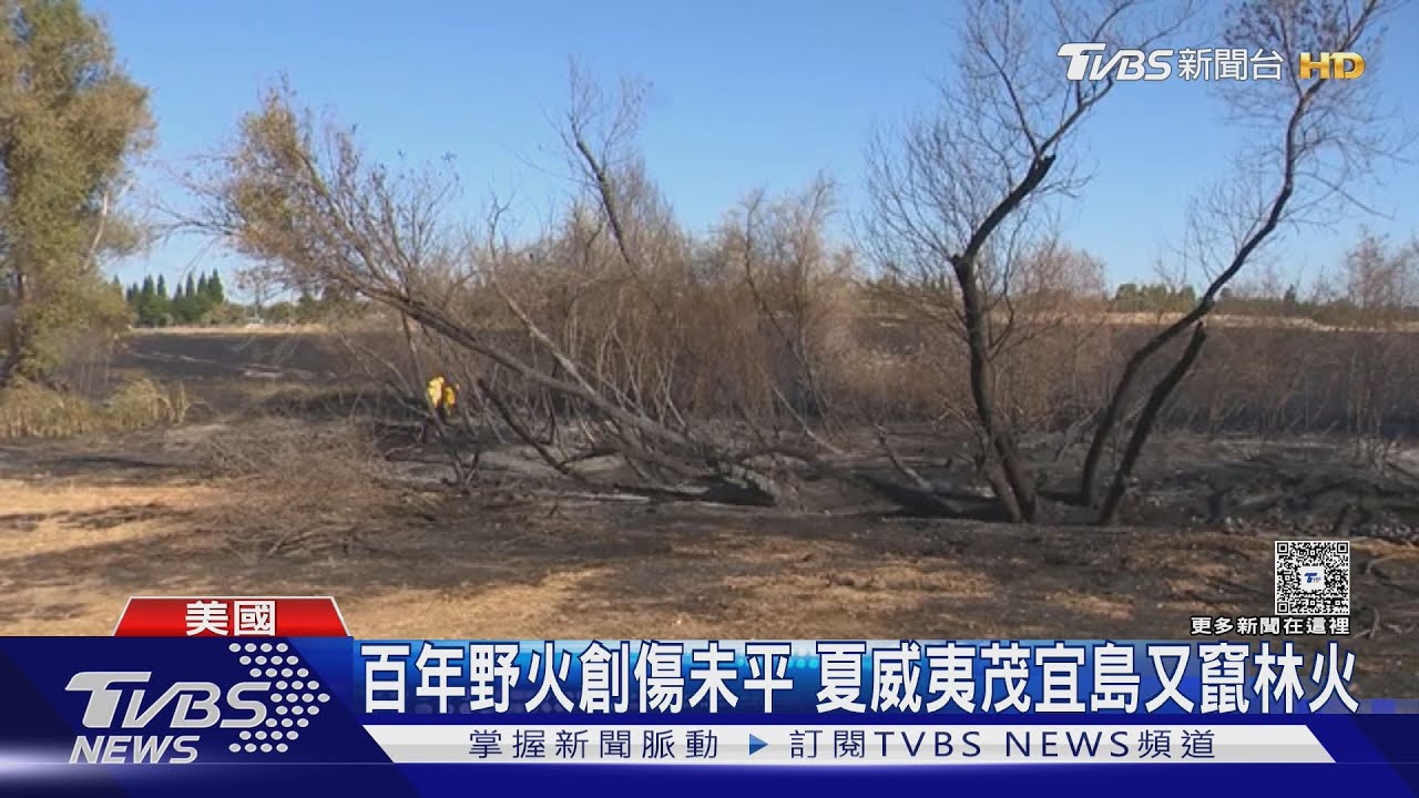 美加野火連環爆! 逾百火場失控 煙霧籠罩北美