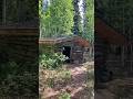 Historic Trapper’s Cabin | Exploring Alaska