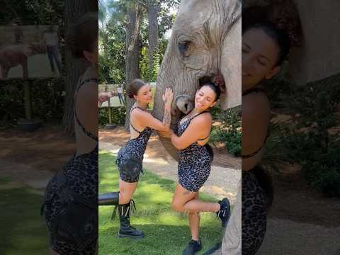 👩🏻❤️🐘👩🏽‍🦱 #elephant #animals #wildlife