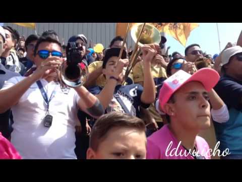 "Pumas vs Tigres - La Banda Del Pebetero" Barra: La Rebel • Club: Pumas • País: México