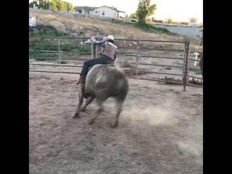 Ryan Krum. June 17, 2019