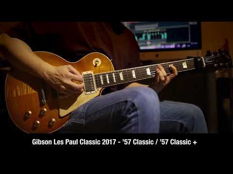 7 different pickups on 4 Les Pauls