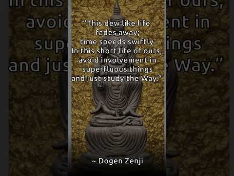 Zen Quote of the Day - Dogen Zenji - Relax-Zen #shorts  #230