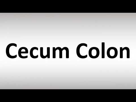 How to Pronounce Cecum Colon