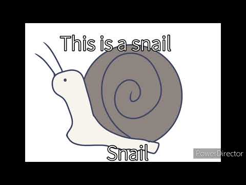 THIS IS A SNAIL/HYPERDONTIA AND SNAIL AND FROG MEME