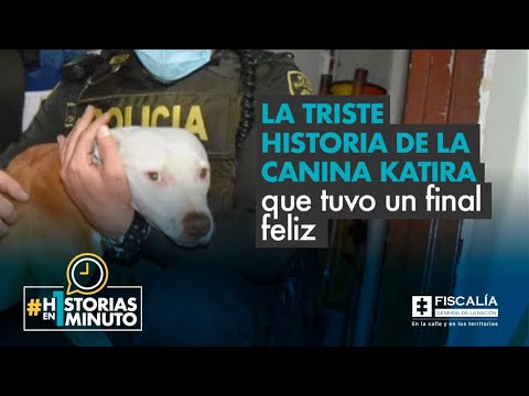 La triste historia de la canina que tuvo un final feliz