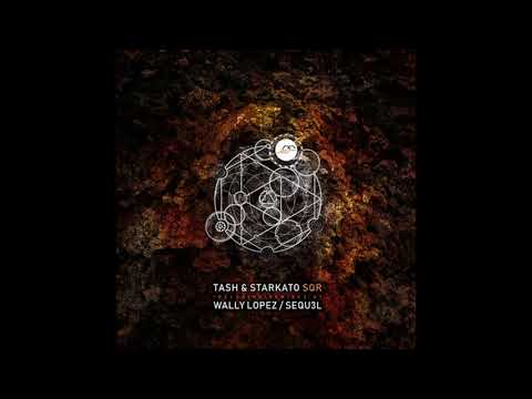 PREMIERE Tash, Starkato -The Bash (SEQU3l Remix) [Movement Recordings]
