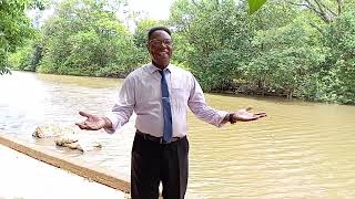 Volta Irmão|Vídeo Clipe|João Caldas.