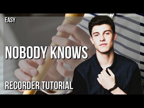 How to play Nobody Knows by Shawn Mendes on Recorder (Tutorial)