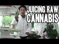 Juicing Raw Cannabis for Highest Health Benefit ...