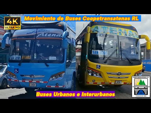 Movimientos de Autobuses en Atenas de Alajuela 