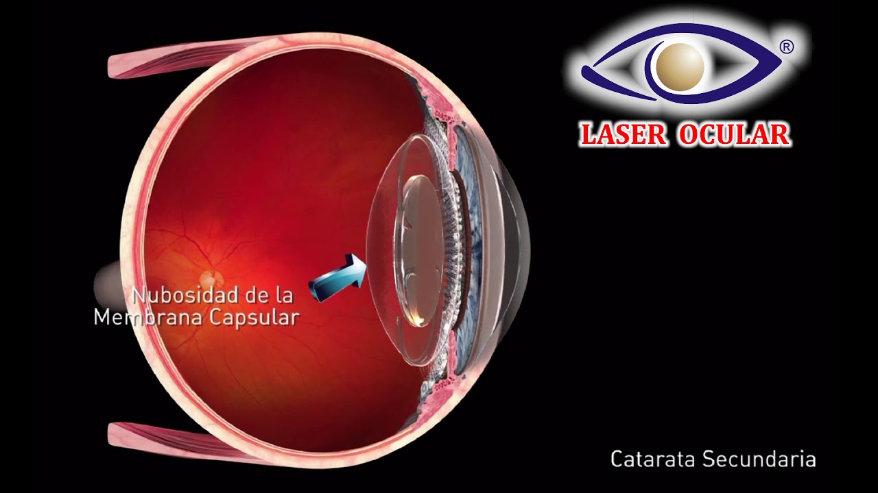 Fabiola De Orta Arellano-16
