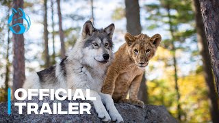 Video trailer för The Wolf and the Lion