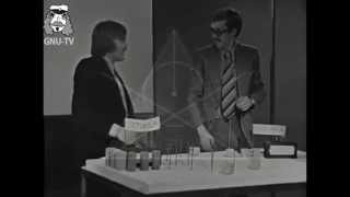 Nummiranta & Takahahmot - Pyhä Kolmio [Virallinen musiikkivideo]