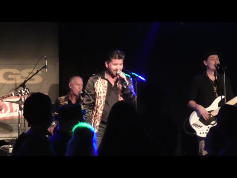 Cagey Strings 2022 in Gröbenzell - Brauner Bär und Weisse Taube