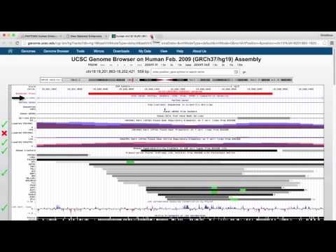 SlideBase Usage Tutorial