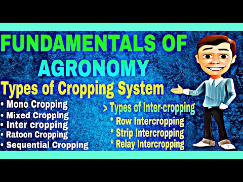 agronomy and it s scope agronomy and it s scope bsc agriculture agronomy Mayank Tripathi