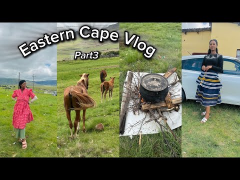 Eastern Cape Vlog part3 || Attending umcimbi kulomama and many more….