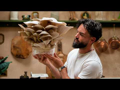 Easiest Way To Grow Mushrooms in a Buckets At Home (Day 1 to Harvest!)