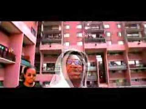 limoilou starz - les 12 patrons