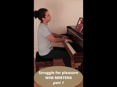 Wim Mertens, Struggle for Pleasure