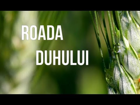 Roada Duhului - Adrian Cost și Seforah Trifu [Lyric Music Video]